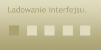 Ładowanie interfejsu serwisu